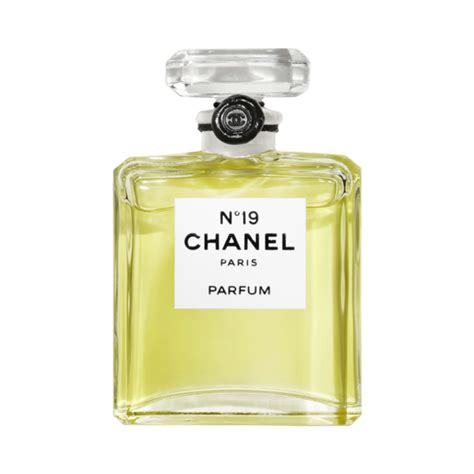 chanel 19 parfume|where to buy chanel 19.